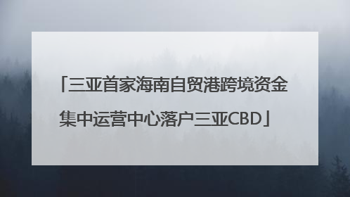 三亚首家海南自贸港跨境资金集中运营中心落户三亚CBD