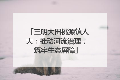 三明大田桃源镇人大：推动河流治理，筑牢生态屏障