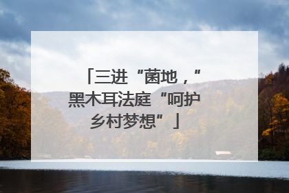 三进“菌地，”黑木耳法庭“呵护乡村梦想”