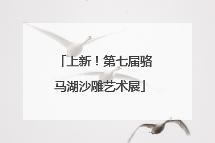 上新！第七届骆马湖沙雕艺术展