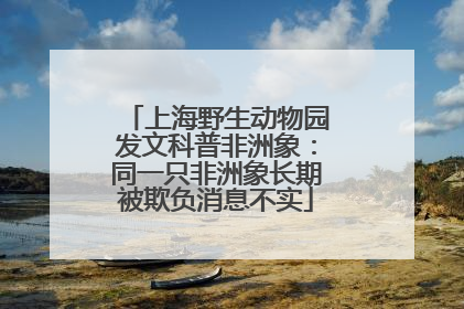 上海野生动物园发文科普非洲象：同一只非洲象长期被欺负消息不实