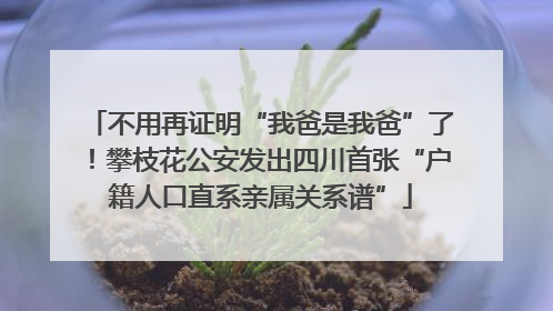 不用再证明“我爸是我爸”了！攀枝花公安发出四川首张“户籍人口直系亲属关系谱”