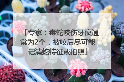 专家：毒蛇咬伤牙痕通常为2个，被咬后尽可能记清蛇特征或拍照