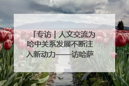 专访｜人文交流为哈中关系发展不断注入新动力——访哈萨克斯坦文化与信息部部长巴拉耶娃