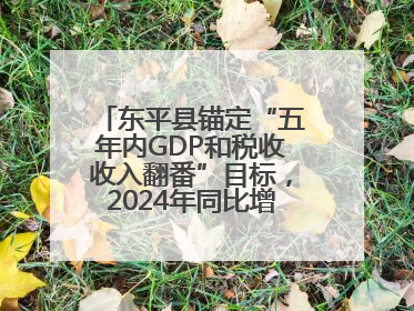 东平县锚定“五年内GDP和税收收入翻番”目标，2024年同比增长5.8%