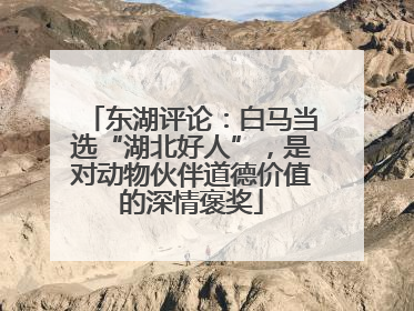 东湖评论：白马当选“湖北好人”，是对动物伙伴道德价值的深情褒奖