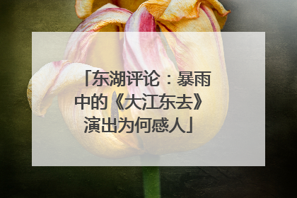 东湖评论：暴雨中的《大江东去》演出为何感人