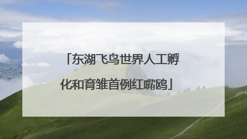东湖飞鸟世界人工孵化和育雏首例红嘴鸥