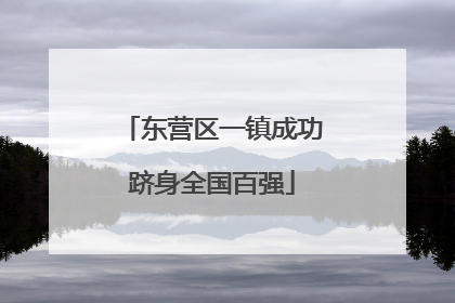 东营区一镇成功跻身全国百强