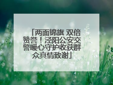 两面锦旗 双倍赞誉！泾阳公安交警暖心守护收获群众真情致谢