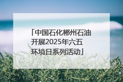 中国石化郴州石油开展2025年六五环境日系列活动