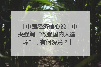 中国经济信心说丨中央强调“做强国内大循环”，有何深意？