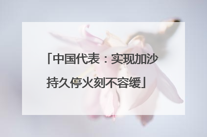 中国代表：实现加沙持久停火刻不容缓