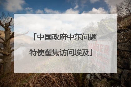中国政府中东问题特使翟隽访问埃及