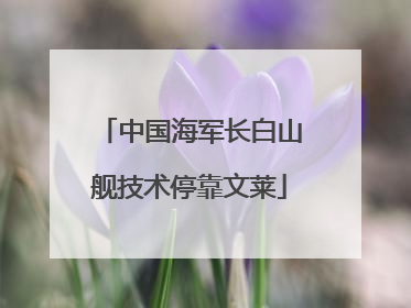 中国海军长白山舰技术停靠文莱