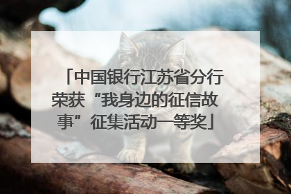 中国银行江苏省分行荣获“我身边的征信故事”征集活动一等奖