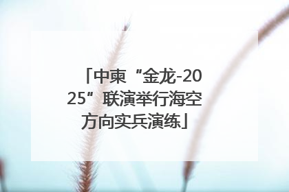 中柬“金龙-2025”联演举行海空方向实兵演练