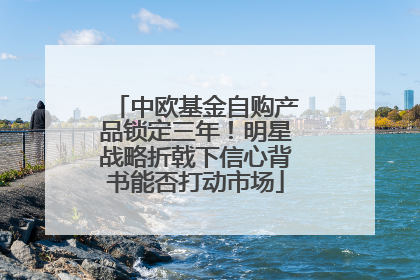 中欧基金自购产品锁定三年！明星战略折戟下信心背书能否打动市场