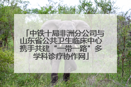中铁十局非洲分公司与山东省公共卫生临床中心携手共建“一带一路”多学科诊疗协作网