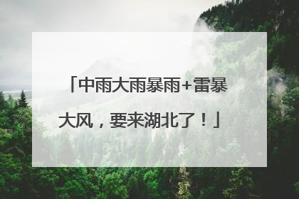 中雨大雨暴雨+雷暴大风，要来湖北了！