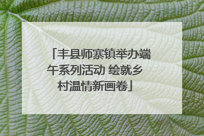 丰县师寨镇举办端午系列活动 绘就乡村温情新画卷