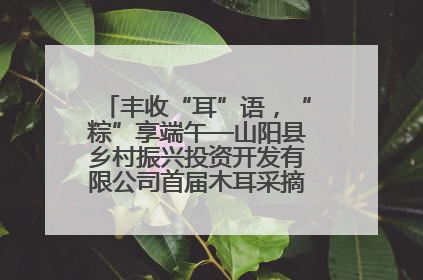 丰收“耳”语，“粽”享端午—山阳县乡村振兴投资开发有限公司首届木耳采摘活动盛大启幕
