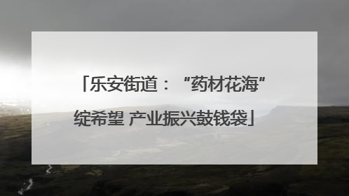 乐安街道：“药材花海”绽希望 产业振兴鼓钱袋