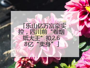 乐山亿万富豪实控，四川前“卷烟纸大王”拟2.68亿“卖身”