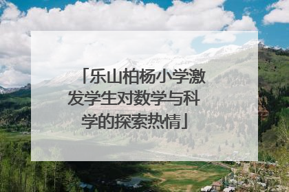 乐山柏杨小学激发学生对数学与科学的探索热情