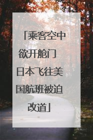 乘客空中欲开舱门 日本飞往美国航班被迫改道