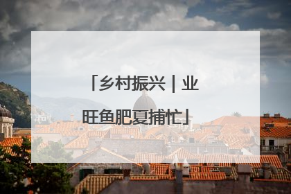 乡村振兴｜业旺鱼肥夏捕忙