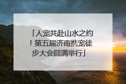 人宠共赴山水之约！第五届济南携宠徒步大会圆满举行
