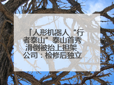 人形机器人“行者泰山”泰山首秀滑倒被抬上担架 公司：检修后独立下山 测试就是为暴露问题