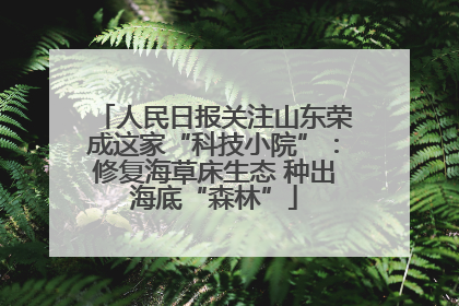 人民日报关注山东荣成这家“科技小院”：修复海草床生态 种出海底“森林”