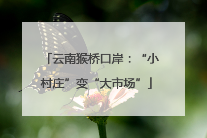 云南猴桥口岸：“小村庄”变“大市场”