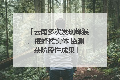 云南多次发现蜂猴、倭蜂猴实体 监测获阶段性成果
