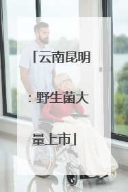 云南昆明：野生菌大量上市