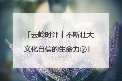 云岭时评丨不断壮大文化自信的生命力②