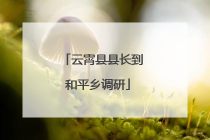 云霄县县长到和平乡调研