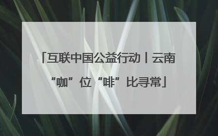 互联中国公益行动丨云南“咖”位“啡”比寻常