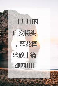 五月的广安街头，蓝花楹盛放丨镜观四川