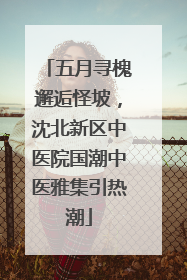五月寻槐邂逅怪坡，沈北新区中医院国潮中医雅集引热潮