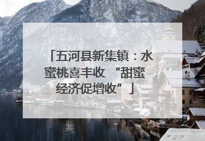 五河县新集镇：水蜜桃喜丰收 “甜蜜经济促增收”