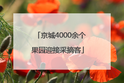 京城4000余个果园迎接采摘客