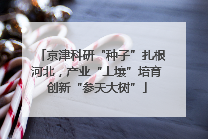 京津科研“种子”扎根河北，产业“土壤”培育创新“参天大树”