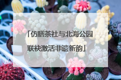 仿膳茶社与北海公园联袂激活非遗新韵