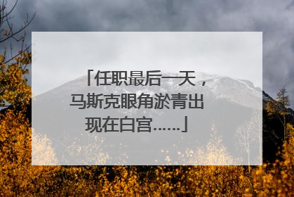 任职最后一天，马斯克眼角淤青出现在白宫……