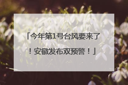 今年第1号台风要来了！安徽发布双预警！