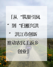 从“筑巢引凤”到“归雁兴洪” 洪江市创新推动农民工返乡创业