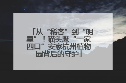 从“稀客”到“明星”！猫头鹰“一家四口”安家杭州植物园背后的守护